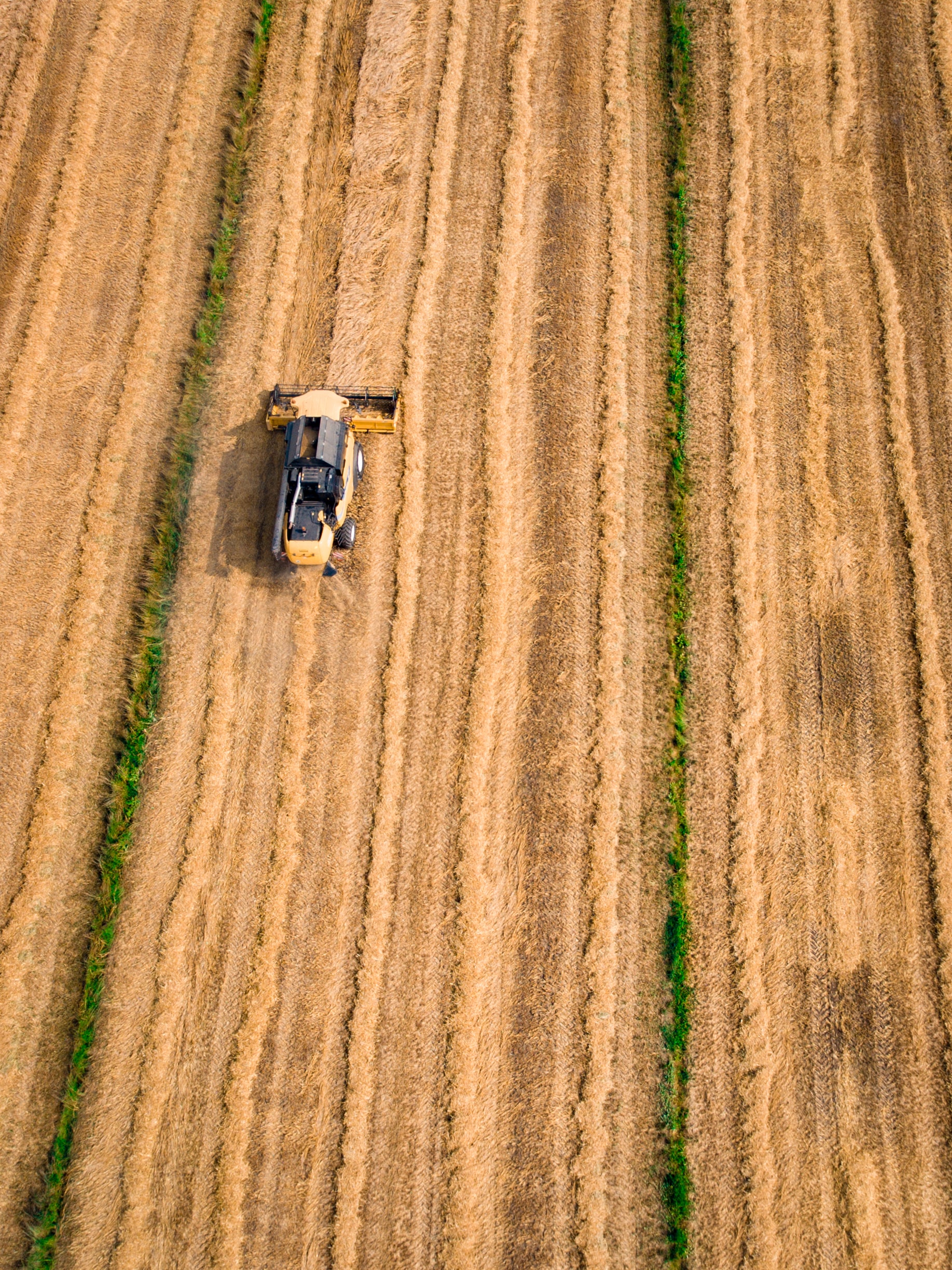 Drone photo of a tractor harvesting crops