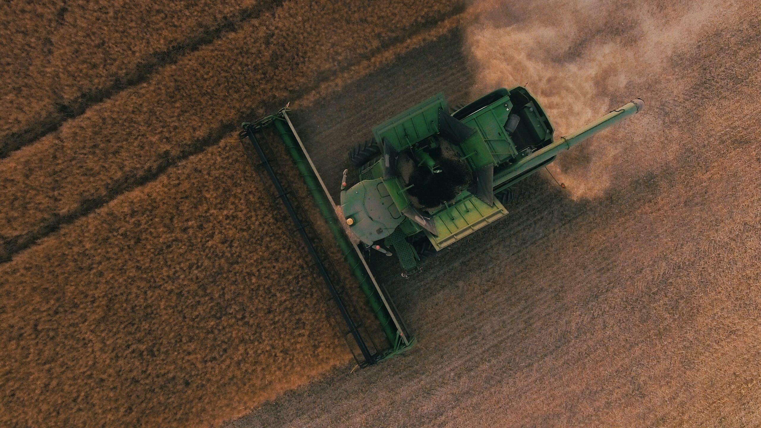 Tractor harvesting crops in field