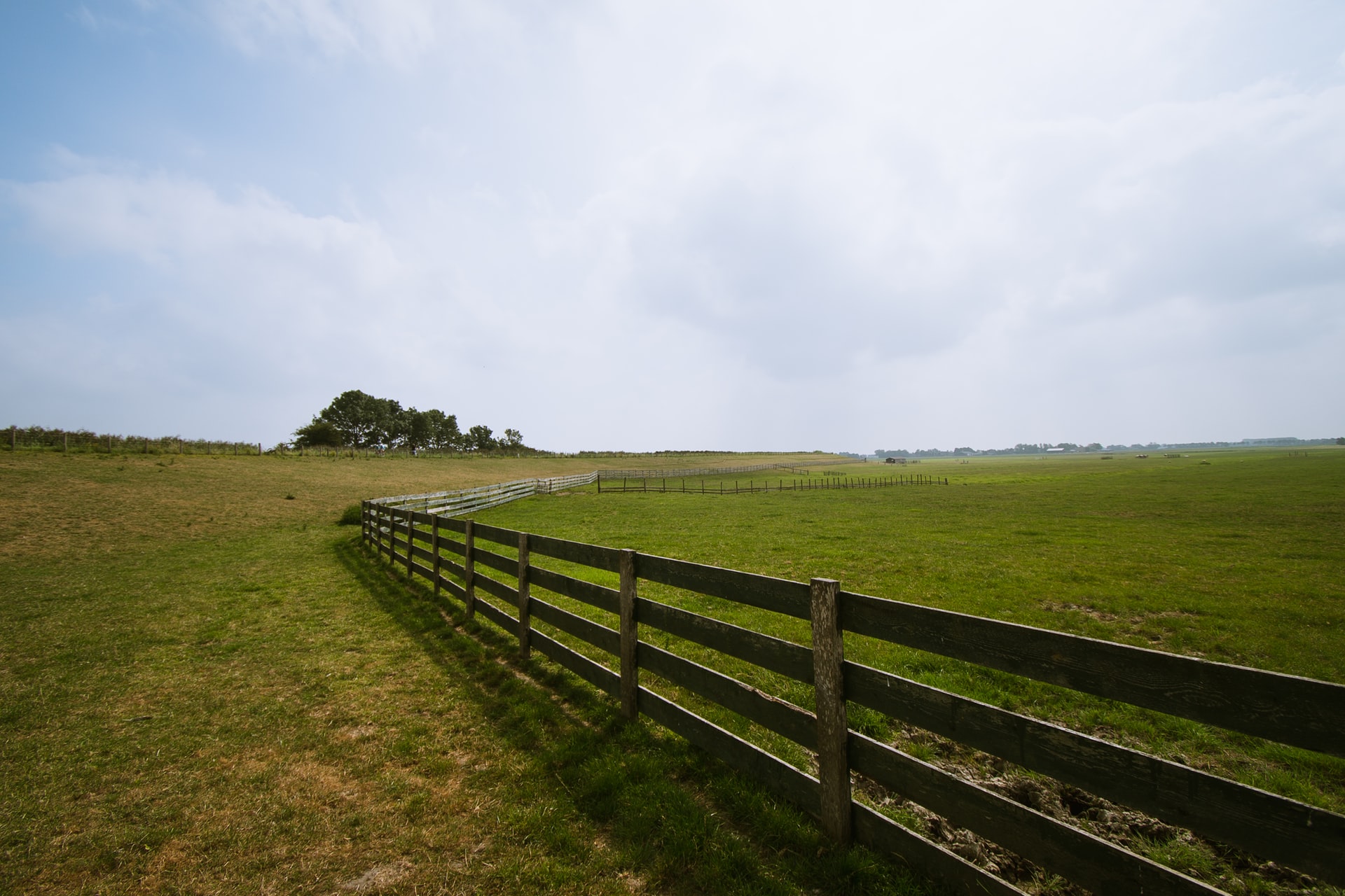 Open field with fence enclosure