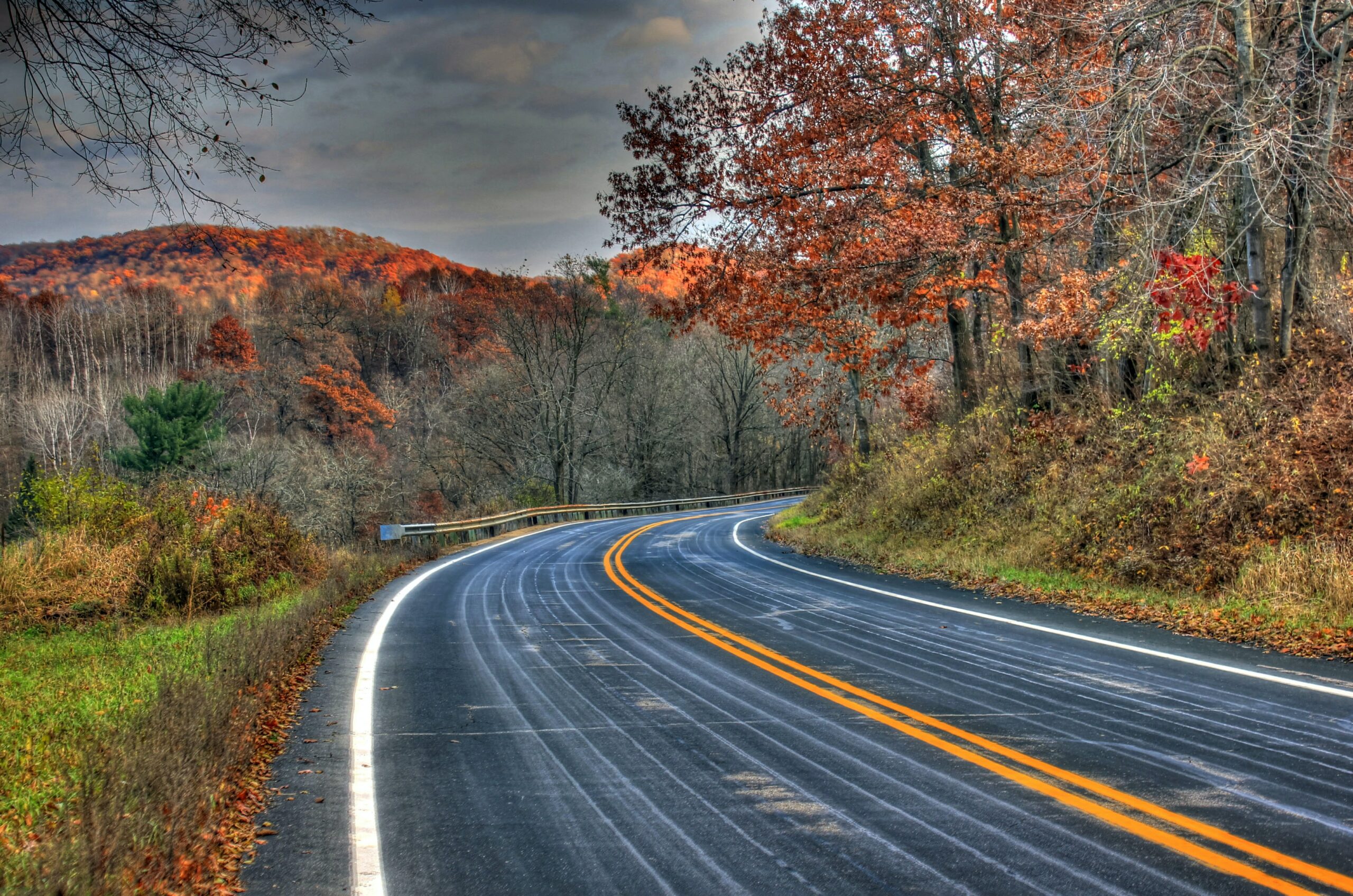 Windy road with trees and mountains